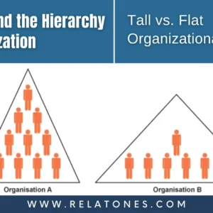 Understanding of hierarchy of tall vs flat organisational structure